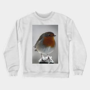 Robin Crewneck Sweatshirt